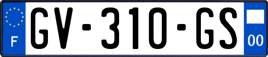 GV-310-GS