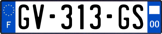 GV-313-GS