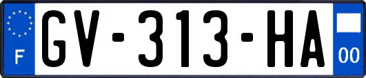 GV-313-HA