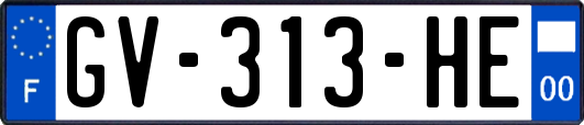 GV-313-HE