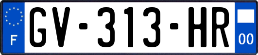 GV-313-HR