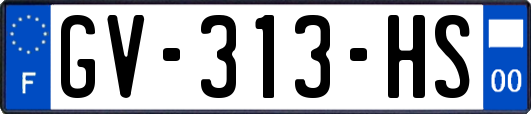 GV-313-HS