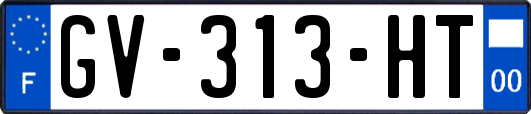 GV-313-HT