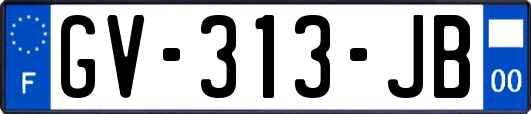 GV-313-JB