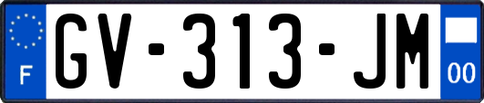 GV-313-JM