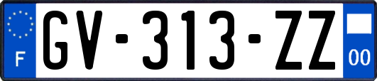 GV-313-ZZ