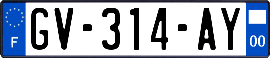 GV-314-AY