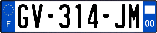 GV-314-JM