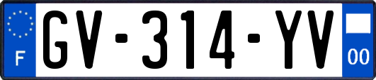 GV-314-YV