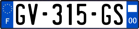 GV-315-GS