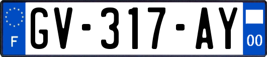 GV-317-AY