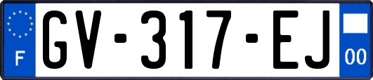 GV-317-EJ