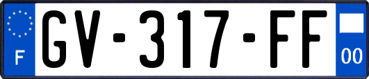 GV-317-FF