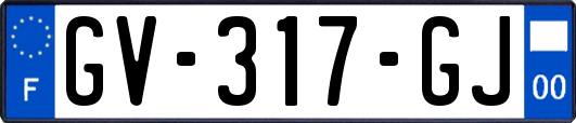 GV-317-GJ