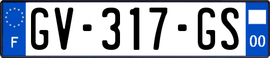 GV-317-GS