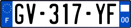 GV-317-YF