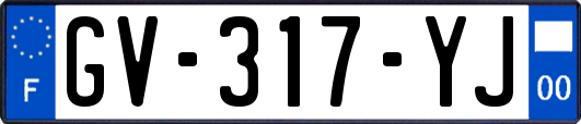 GV-317-YJ
