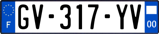 GV-317-YV