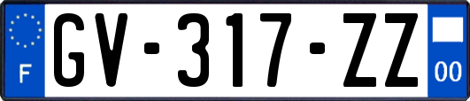 GV-317-ZZ