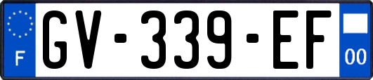 GV-339-EF