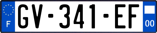 GV-341-EF