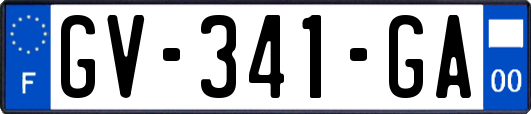 GV-341-GA