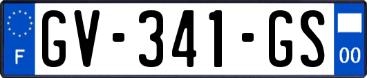 GV-341-GS