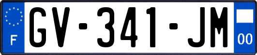 GV-341-JM