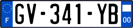 GV-341-YB