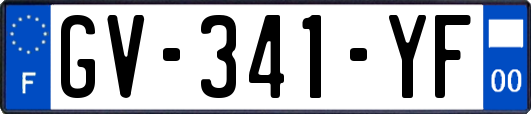 GV-341-YF