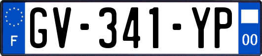GV-341-YP