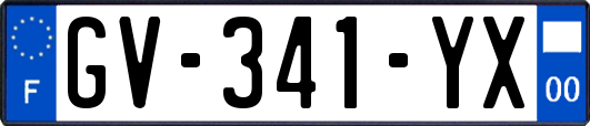 GV-341-YX