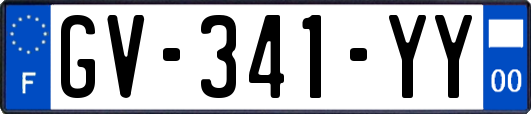 GV-341-YY