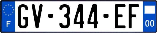 GV-344-EF