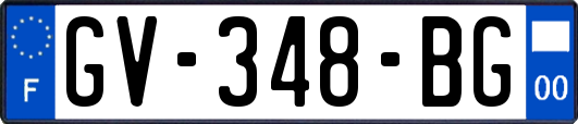 GV-348-BG