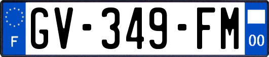 GV-349-FM