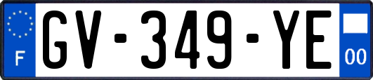 GV-349-YE