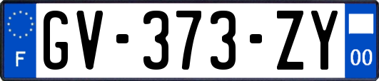 GV-373-ZY