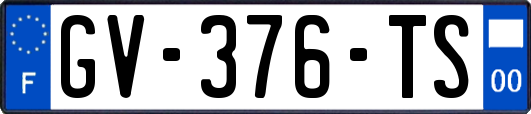 GV-376-TS