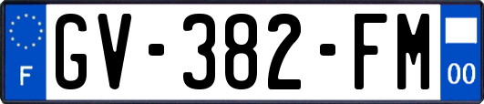 GV-382-FM