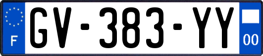 GV-383-YY