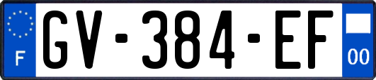 GV-384-EF