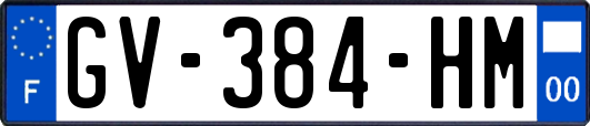 GV-384-HM