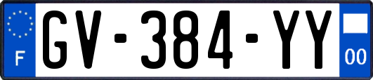 GV-384-YY