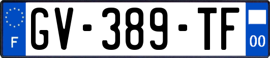 GV-389-TF