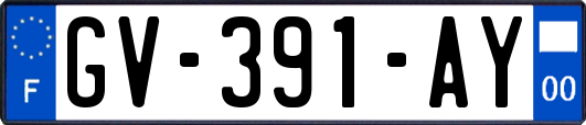 GV-391-AY