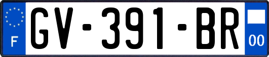GV-391-BR
