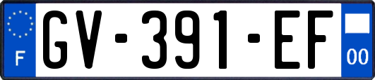 GV-391-EF