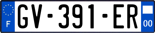 GV-391-ER