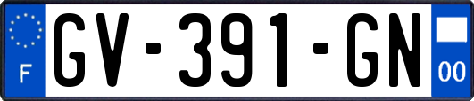 GV-391-GN